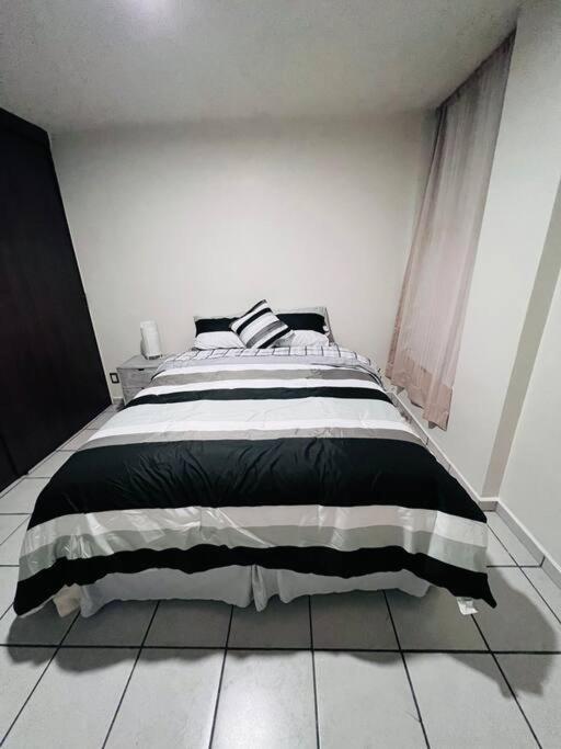 Hermoso Departamento En Coyoacan Mexico City Ngoại thất bức ảnh
