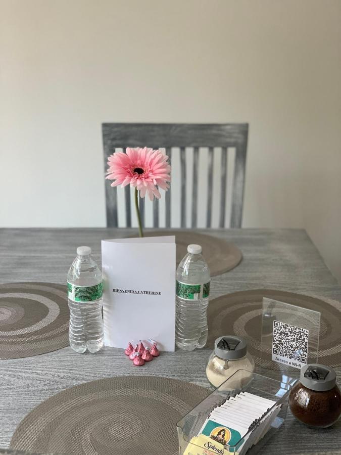 Hermoso Departamento En Coyoacan Mexico City Ngoại thất bức ảnh